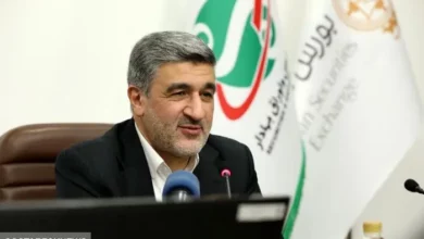 شرط کاهش نرخ سود از زبان صیدی | سازمان بورس برخورد می کند!