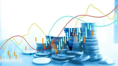 وضعیت عجیب قیمت بعضی از سهام ها در بورس!