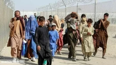 اتباع افغانی کارفرمایان را سوپرایز کردند