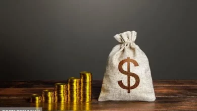 واریز عیدی کارمندان دولت در این تاریخ + مبلغ دقیق عیدی واریز عیدی کارمندان دولت در این تاریخ + مبلغ دقیق عیدی