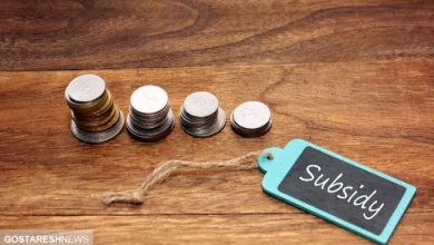 ۳ روش برای استعلام دهک‌ بندی یارانه نقدی رسما مشخص شد