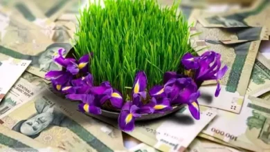 چه کسانی مشمول عیدی و پاداش می شوند؟