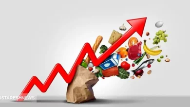 آغازی سخت برای اقتصاد خانوار | تورم افسار پاره کرد