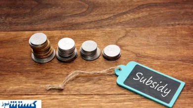 با این درآمد و خرج ماهانه از لیست یارانه بگیران خارج می‌شوید