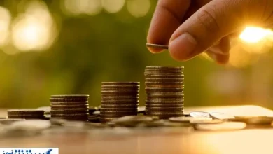 دستور اجرای فوری فوق‌العاده خاص صادر شد | خبر خوش برای کارکنان دولت