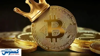 سرمایه گذاران در این بازار به خاک سیاه نشستند