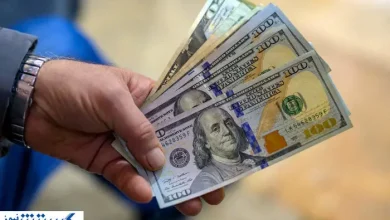 صفر تا صد پیش فروش ارز رسماً اعلام شد + جزئیات