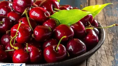 قیمت گیلاس کنترل شد | اوضاع بازار تغییر کرد