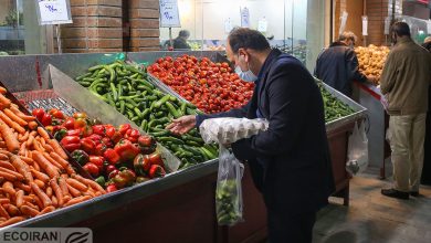 بالا بودن قیمت‌ها در تره‌بار به‌خاطر قیمت بالای آن در میدان مرکزی است