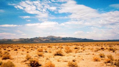 تلاش ایران برای همکاری با سازمان ملل برای مهار طوفان‌های گردوغبار