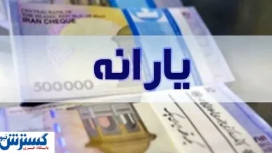 یارانه نقدی تیرماه با طعم کالابرگ | حساب‌ها شارژ شد