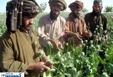 اخراج افغان‌ها برای ایران شر شد !