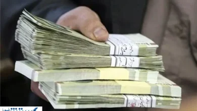 بیمه زنان و دانشجویان رایگان شد ؛ مادران از دولت حقوق بگیرند