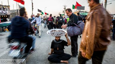 دریافت ارز اربعین و خدمات بیمه‌ای تنها با ثبت نام در سامانه سماح ممکن است