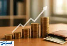 دولت پزشکیان به افزیش حقوق این افراد رسماً اوکی داد