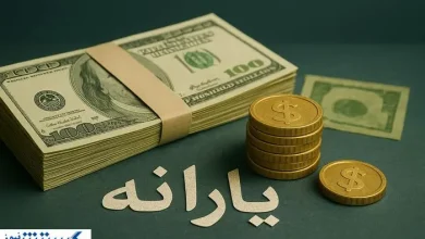 دولت یارانه دو دهک دیگر را هم حذف می‌ کند؛ نحوه اعتراض را بدانید + جزئیات