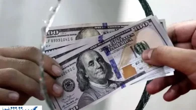 قیمت امروز دلار در بازار آزاد (جمعه ۷ شهریور۱۴۰۴) | نرخ درهم و دینار تغییر کرد