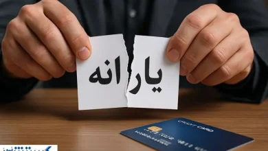 فوری؛ سخنگوی دولت راه اعتراض به یارانه را رسماً نشان داد