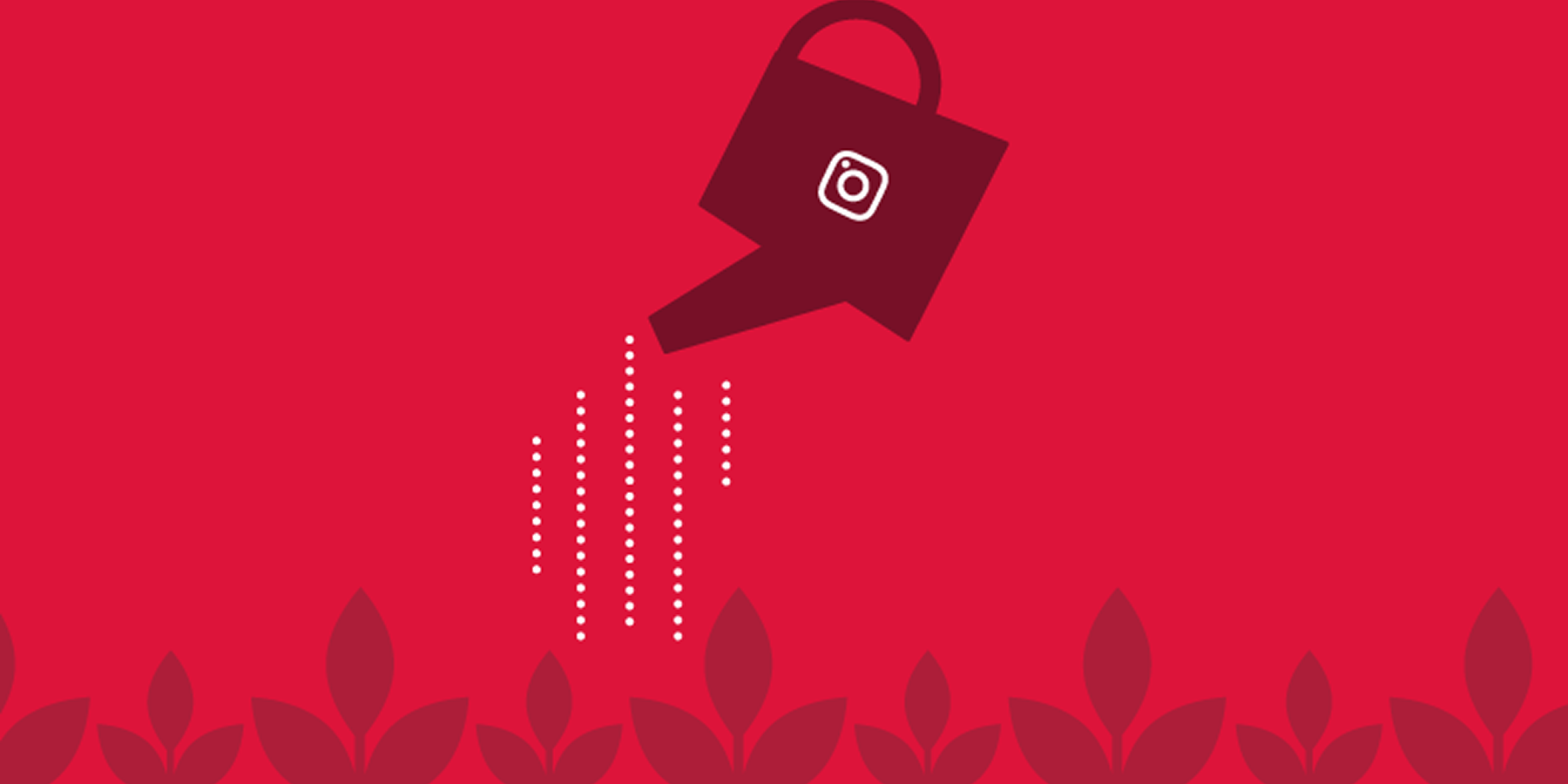 چرا رقابت در اینستاگرام افزایش یافته است؟