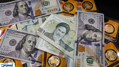 سرمایه‌ گذاری ریالی یا دلاری؟ | هشدار جدی درباره سودهای ظاهری اعلام شد