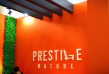 پرستیژ نیچر