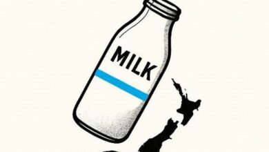 قیمت‌گذاری به اسم حمایت، لبنیات را گران کرد/ قیمت لبنیات در جهان نصف می‌شود