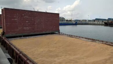 بابایی: نهاده‌های دامی گیلان با نظارت دقیق ترخیص می شوند