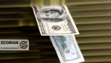 قیمت دلار امروز 11بهمن/ دلار 163 هزار تومان شد + جدول