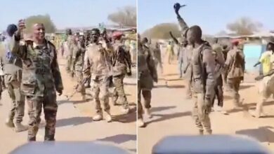 ۱۵ کشته در گلوله ‌باران کادوقلی توسط «نیروهای واکنش سریع»