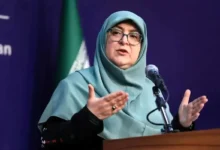 توضیح سخنگوی دولت درباره سفر عراقچی به پاکستان، عمان و روسیه