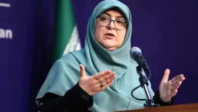 توضیح سخنگوی دولت درباره سفر عراقچی به پاکستان، عمان و روسیه