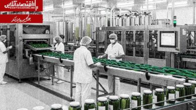 مدیریت اقتصادی در شرایط جنگی؛ راهکارهای حفظ ظرفیت تولیدی بنگاه‌ها در جنگ