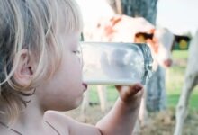 هشدار؛ تب مالت در بهار اوج می‌گیرد