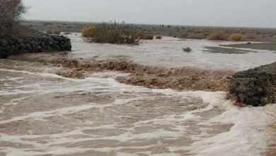 هماهنگی با ترکمنستان برای یافتن راننده تراکتور گرفتار سیل کلات