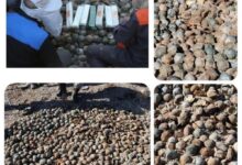 کشف و خنثی‌سازی ۹ هزار و پانصد بمبلت بجامانده از جنگ + عکس