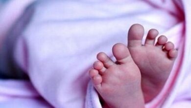 دعوت عمومی برای مشارکت در پویش «جان ایران»
