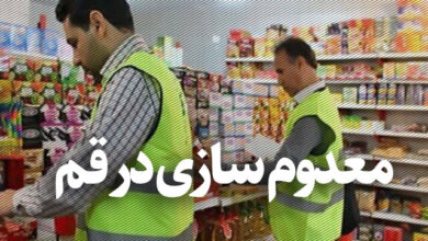 ۶۰۰ کیلوگرم گوشت فاسد در قم معدوم شد