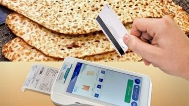 اصلاح قیمت نان در البرز؛ هشدار رئیس اتاق اصناف درباره گران‌فروشی و توافقات غیرقانونی