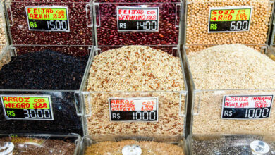شاخص قیمت مواد غذایی فائو کاهش یافت؛ کاهش ۴.۴درصدی قیمت جهانی گندم در ماه ژوئن