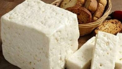 فروش ۲۶میلیون دلاری پنیر صادراتی ایران در سال ۲۰۲۵؛ ارزش صادراتی ۱۰درصد کاهش یافت