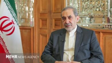 ولایتی: طرح تقسیم مسیر تنگه هرمز چوب حراج به سرمایه ملی است