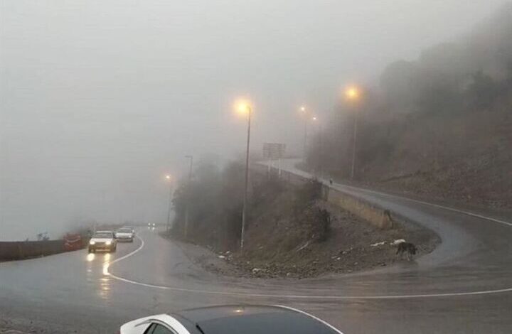 بازگشایی دوطرفه جاده چالوس از ساعت ۲۱ امشب بازگشایی دوطرفه جاده چالوس از ساعت ۲۱ امشب