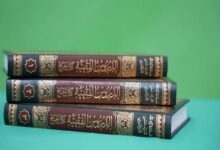 تقریرات آیت الله سیدحسن مرتضوی بر کتاب حج کتاب شد تقریرات آیت الله سیدحسن مرتضوی بر کتاب حج کتاب شد