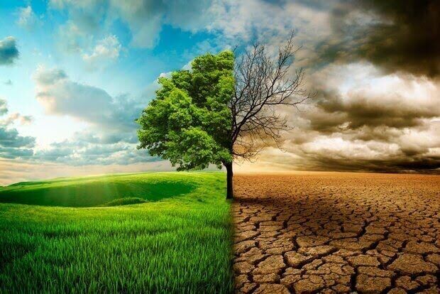 زنگ خطر النینو برای اقتصاد جهان؛ شرکتهای بزرگ در آمادهباش زنگ خطر النینو برای اقتصاد جهان؛ شرکتهای بزرگ در آمادهباش