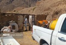 شریعتی: خدمات جهادی دامپزشکی در مناطق کمبرخوردار ادامه دارد شریعتی: خدمات جهادی دامپزشکی در مناطق کمبرخوردار ادامه دارد