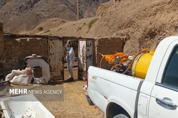 شریعتی: خدمات جهادی دامپزشکی در مناطق کمبرخوردار ادامه دارد شریعتی: خدمات جهادی دامپزشکی در مناطق کمبرخوردار ادامه دارد