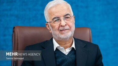 مومنی: تفویض اختیار به استانداران نگذاشت کارها روی زمین بماند