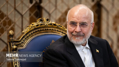 نمایش مضحکت شبیه یک استندآپ در کلاب شبانه بود نمایش مضحکت شبیه یک استندآپ در کلاب شبانه بود