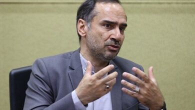 هاشمی نژاد: کشور در سالیان طولانی طعم تلخ تروریسم را چشیده است