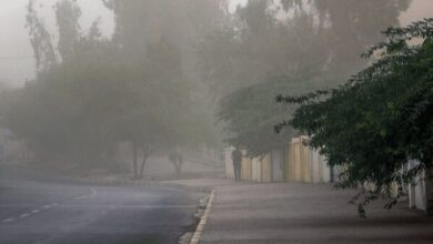 هشدار نسبت به وزش تندباد در تهران| احتمال سقوط برخی اجسام از ارتفاع